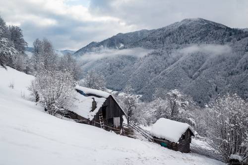 Жизнь идет!