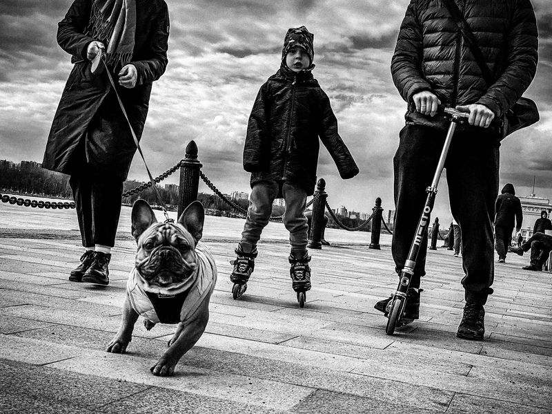 фото превью