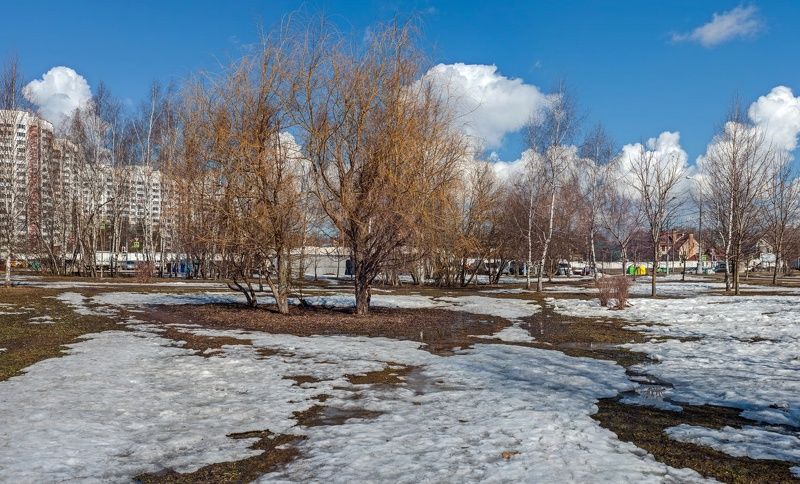 Апрельские проталины фото превью