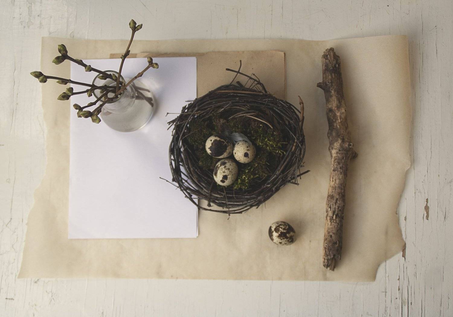 натюрморт, минимализм, Ольга Алексейчик