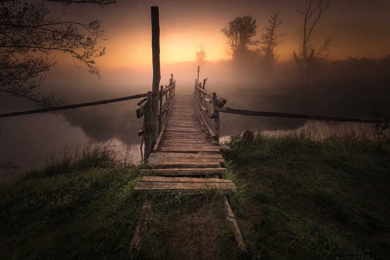 Foggy Bridge фото превью