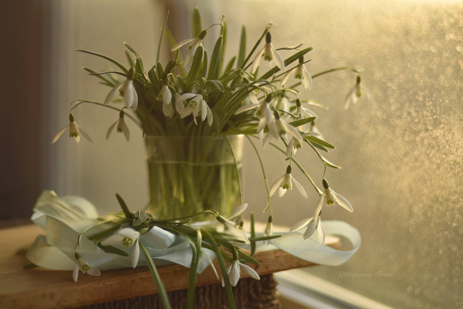 подснежники, Шипунова Ирина