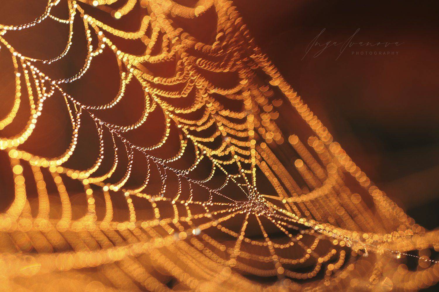 , Инга Иванова