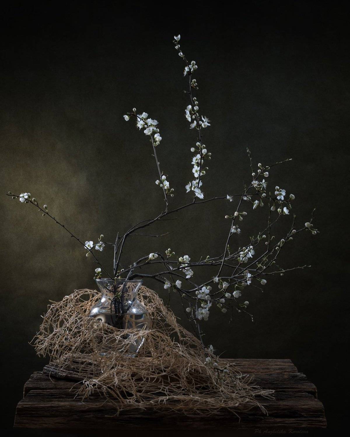 , Анжелика Королева