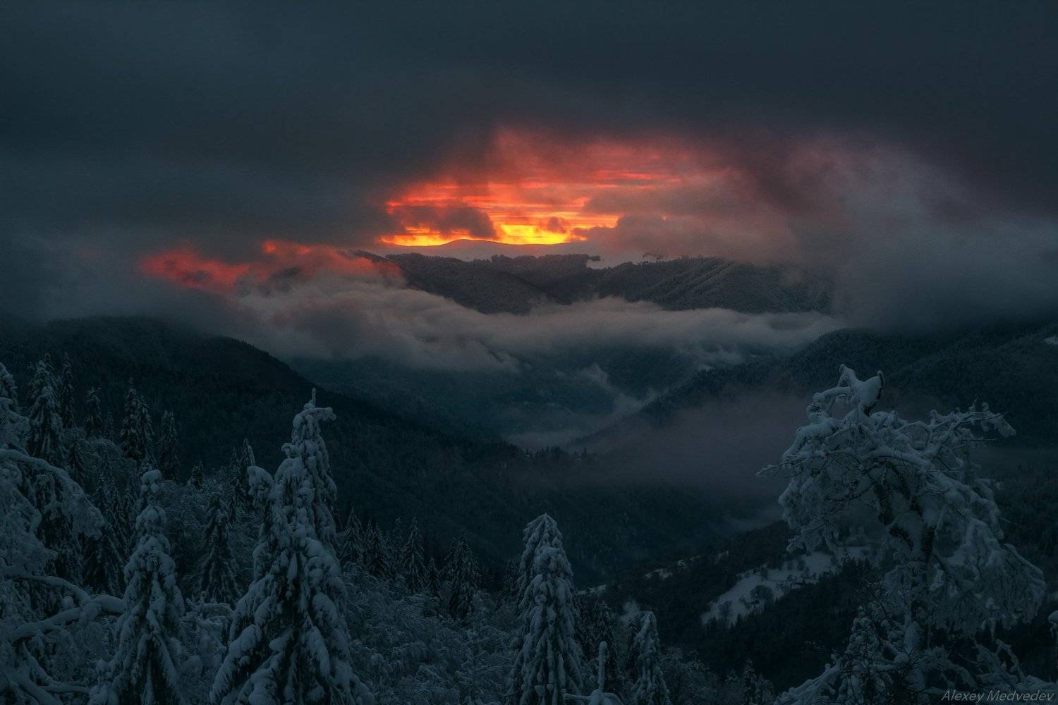 гори, закарпаття, зима, карпати, свидовець, смереки, сутінки, лопухів, лопухов, усть чорна, карпаты, закат, огненный, зимний, Алексей Медведев