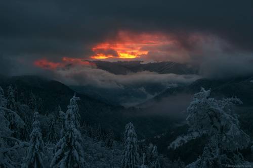 Зарождение света