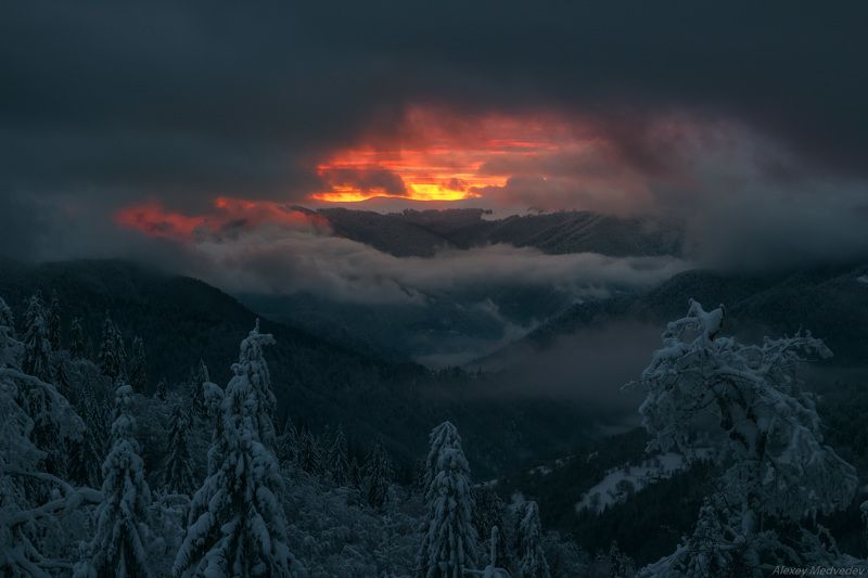 гори, закарпаття, зима, карпати, свидовець, смереки, сутінки, лопухів, лопухов, усть чорна, карпаты, закат, огненный, зимний Зарождение света фото превью