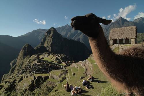 Мачу-Пикчу, из серии