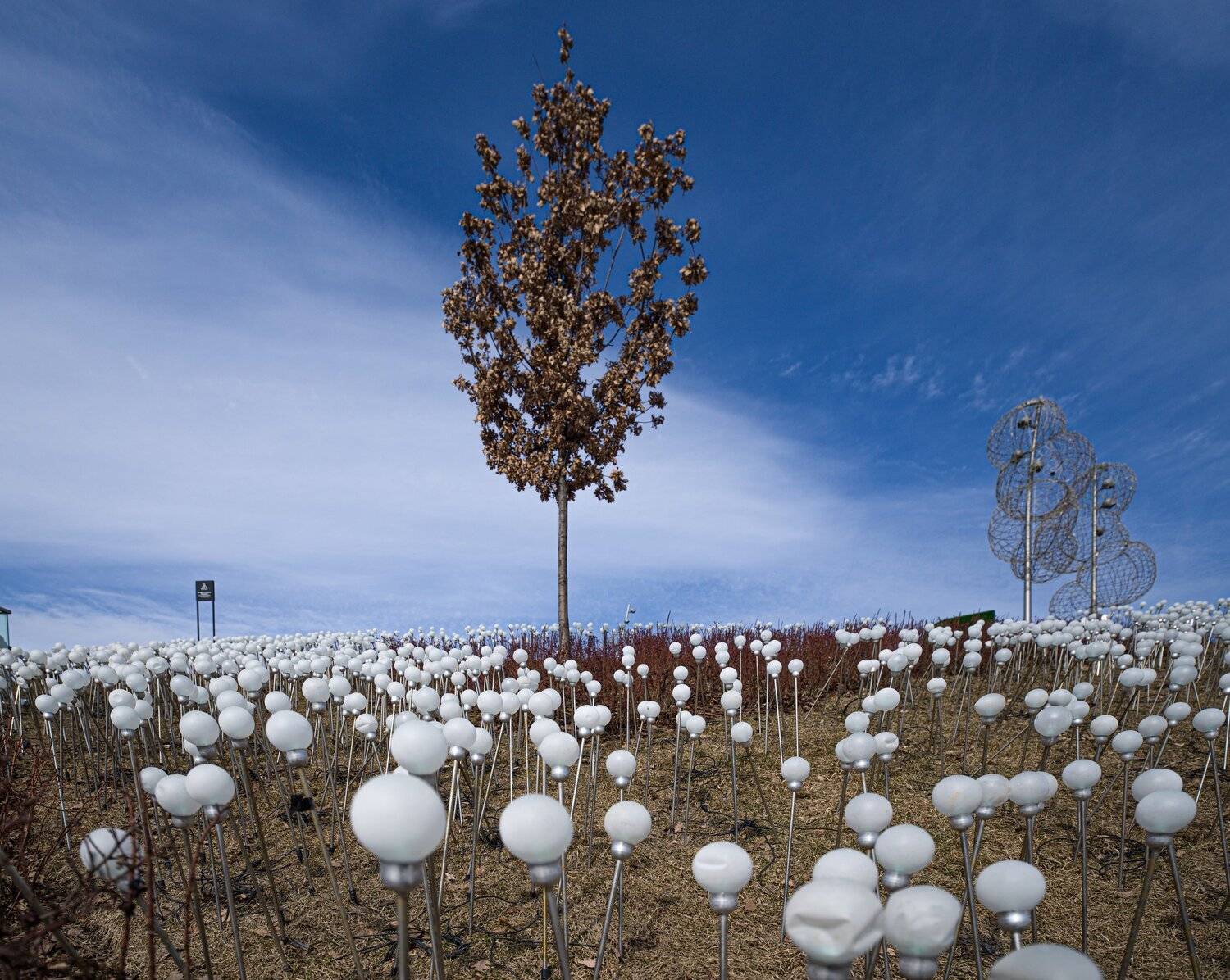 , Дмитрий Емельянов