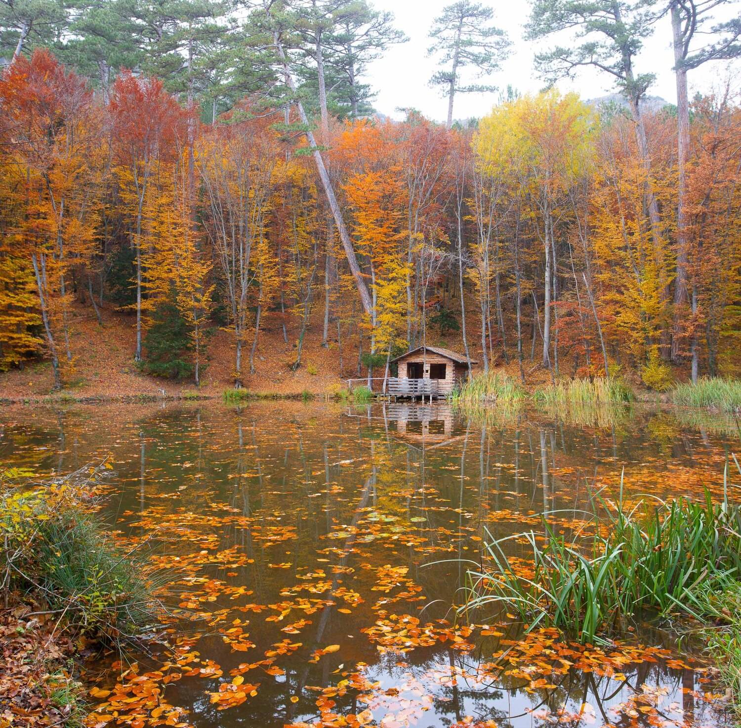 ай-петри, крым, ялта, осень в ялте, дорога на ай-петри, Serge Titov