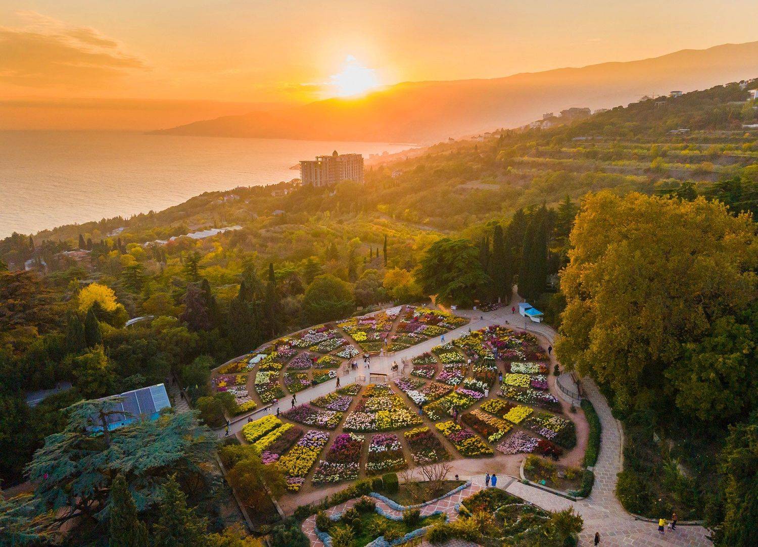 никитский сад, ялта, крым, никитский ботанический сад, ялтинский залив, ай-петри, черное море, выставка хризантем, хризантемы, осень в ялте, Serge Titov