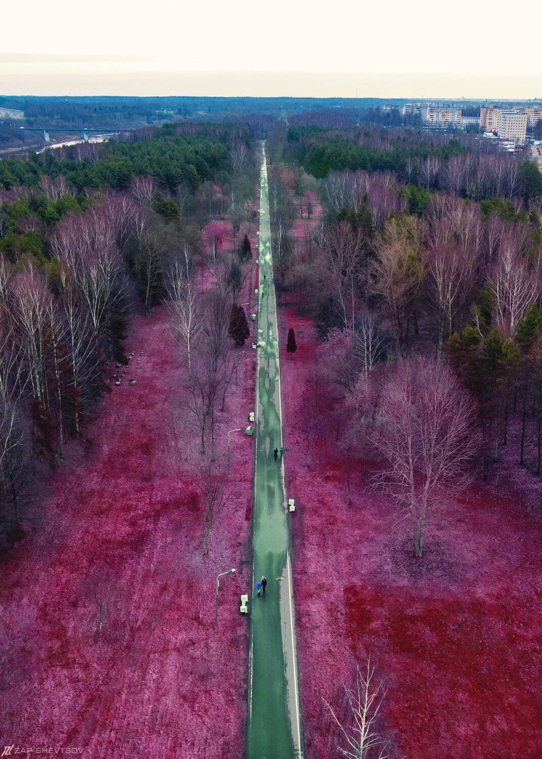 цвет вид небо горизонт с дрона интересное необычное профи, Sergey Shevtsov