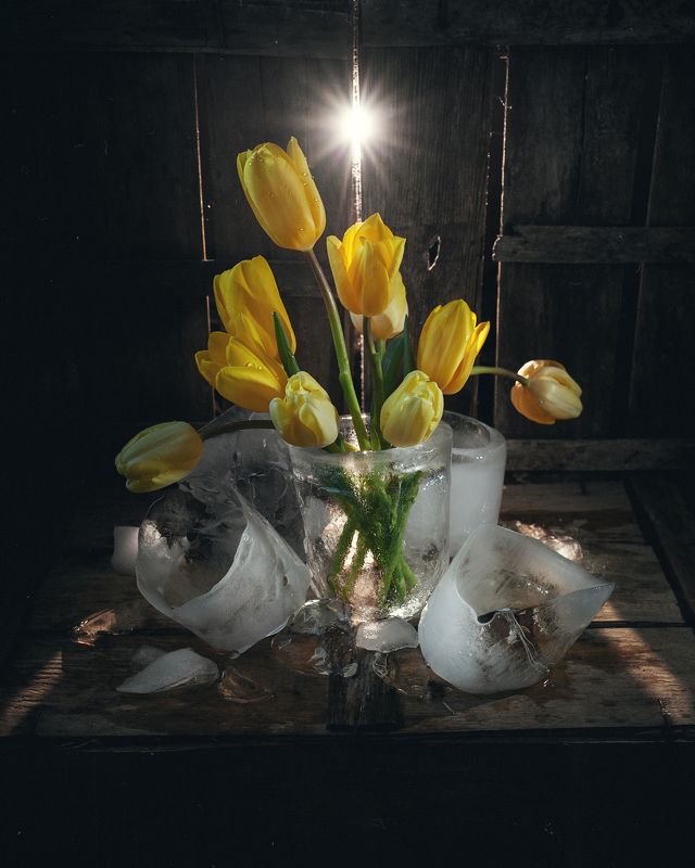 12 месяцев. Март фото превью