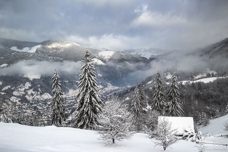 гори, закарпаття, зима, карпати, свидовець, смереки, сутінки, лопухів, лопухов, усть чорна, карпаты, хатки, село, долина Лопухов фото превью