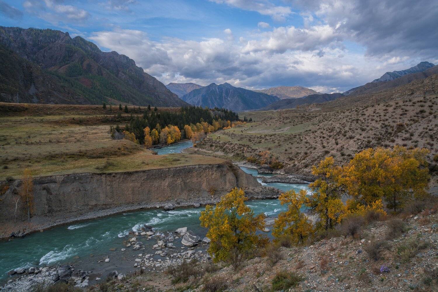 россия, горный алтай, река чуя, осень, Андрей Поляков