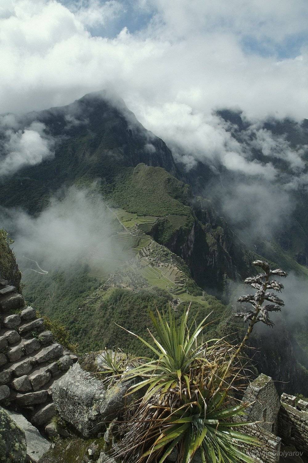 Мачу-Пикчу, Перу, путешествие, приключение, цветы, горы, облака, Анды, Америка, шагнивнеизведанное, Владимир Столяров
