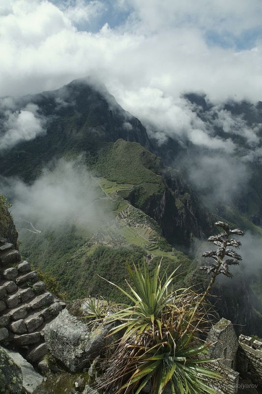 Мачу-Пикчу, Перу, путешествие, приключение, цветы, горы, облака, Анды, Америка, шагнивнеизведанное Мачу-Пикчу, из серии фото превью