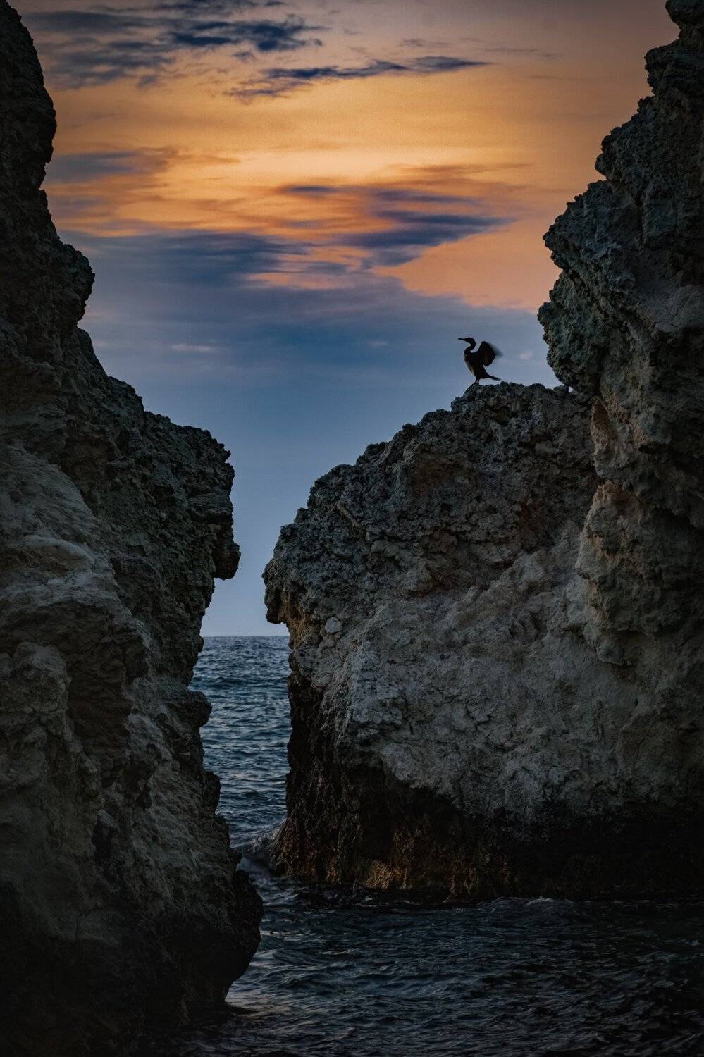 , Андрей Кривцов