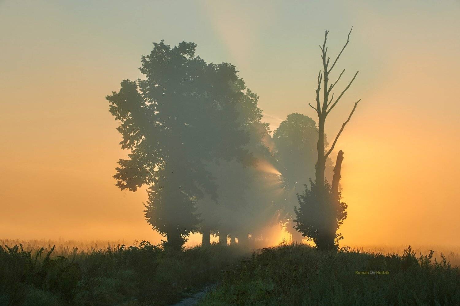 Misty morning, sunrise, landscape, fog, clouds, fields,, Roman Hudzik
