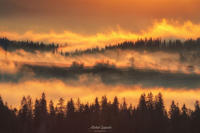 Fire morning... фото превью