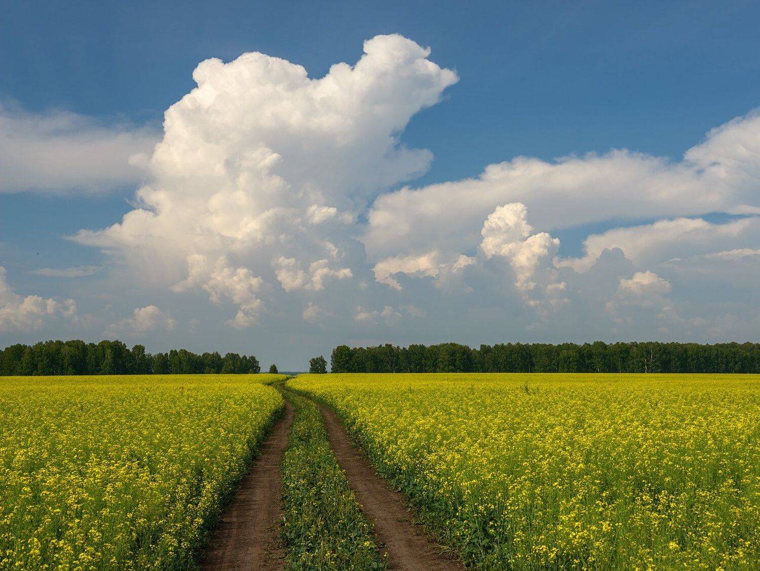 Зауралье, Урал, Курганская , Кутыгин Эдуард