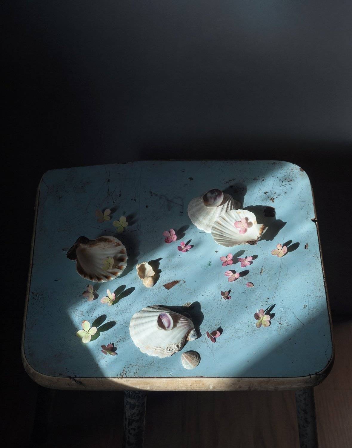 , Елена Хазина