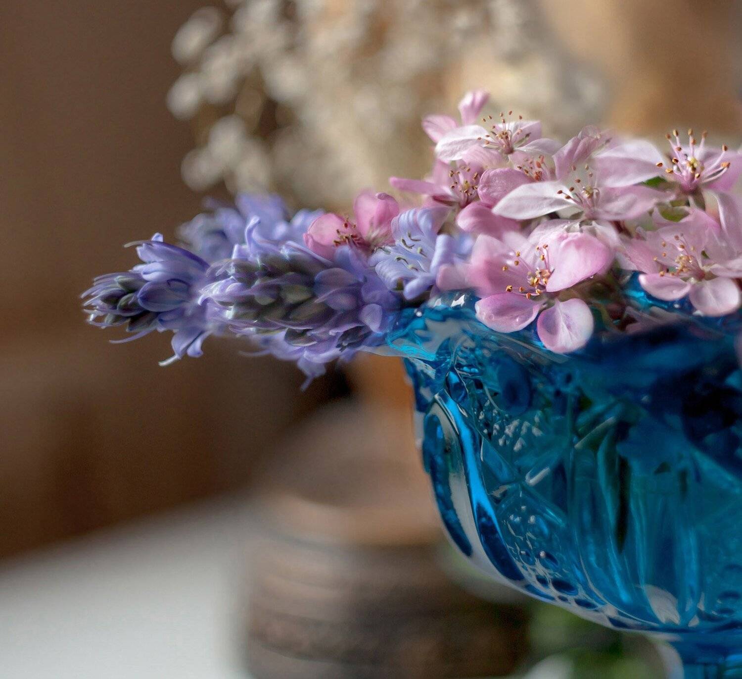 макро,цветы,весна,природа,флора,, Антонина Яновска