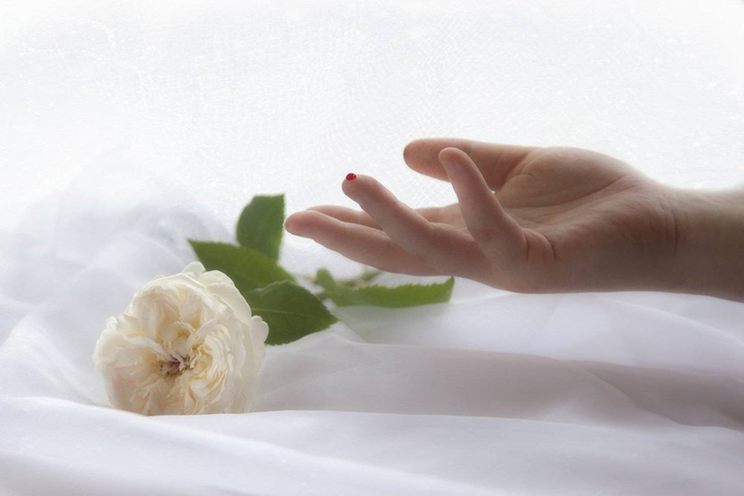 , Татьяна Назмутдинова