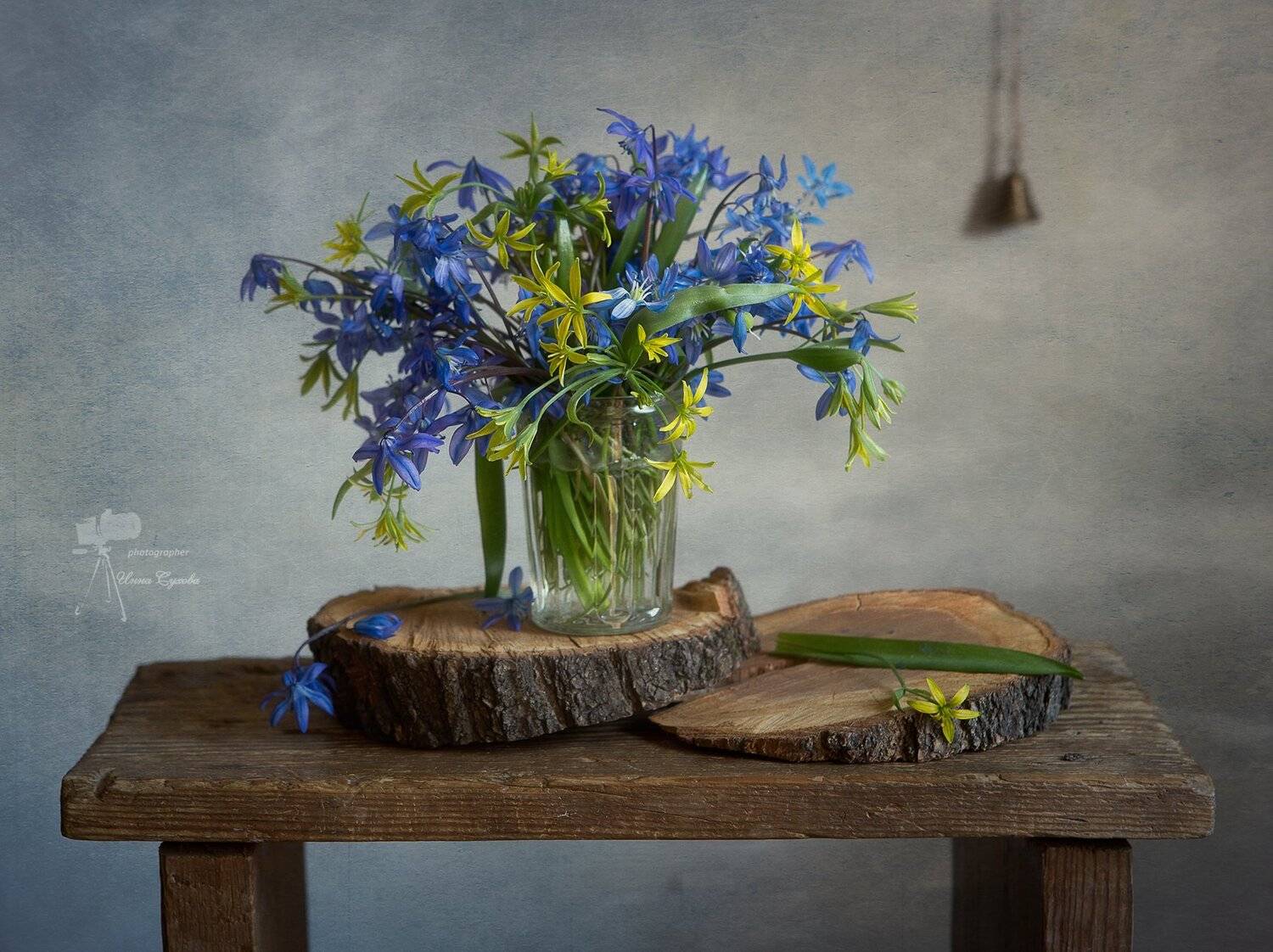 , Инна Сухова