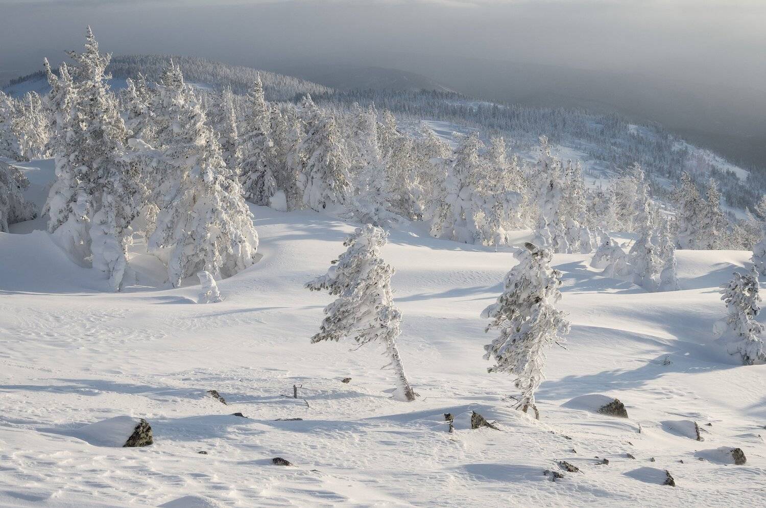 , Лещёнок Александр