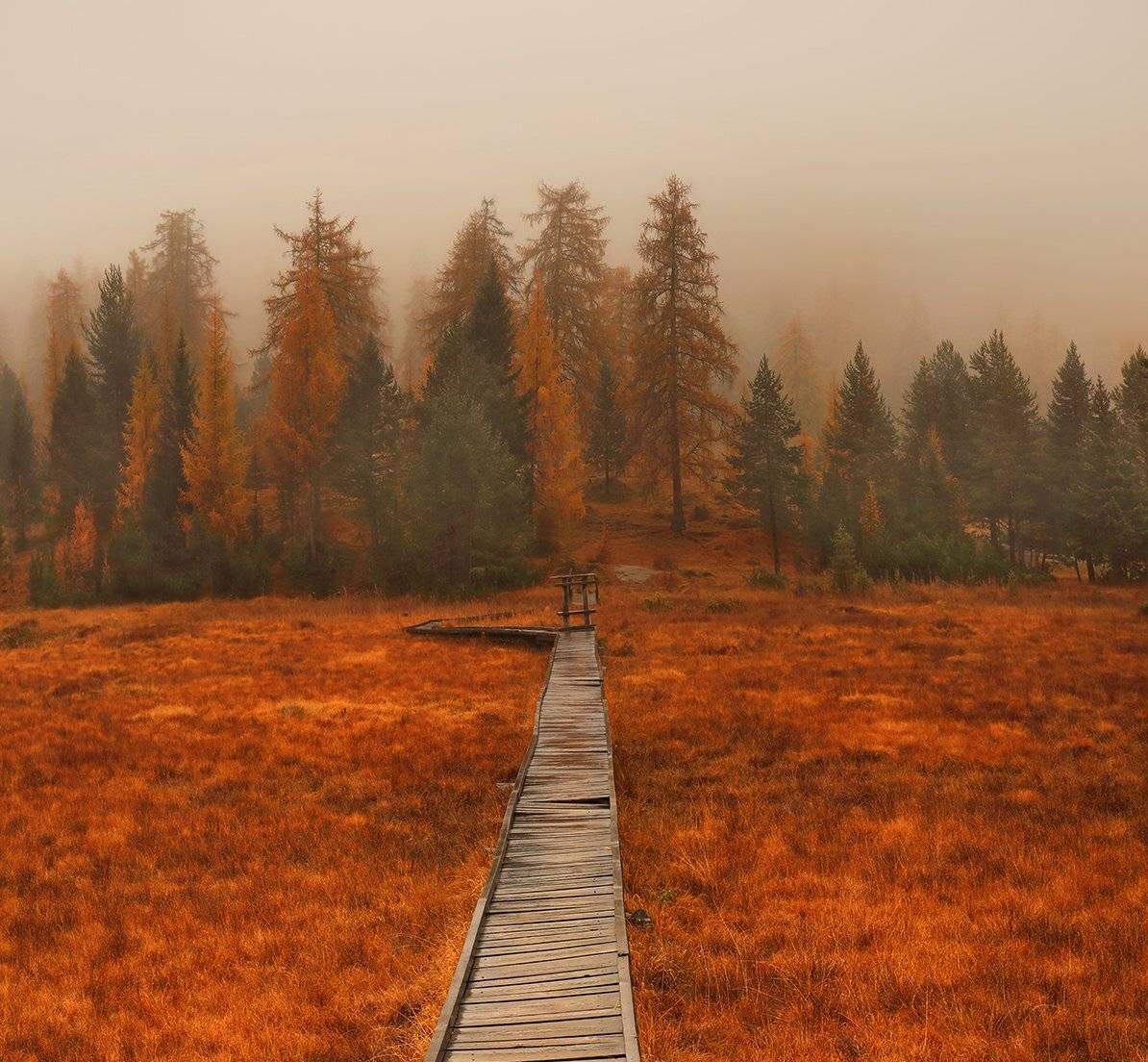 swiss, Матвеев Николай