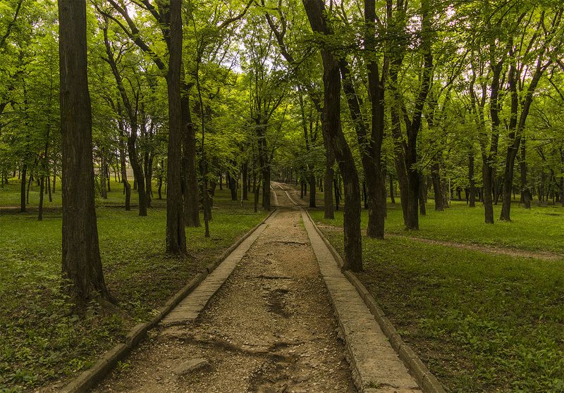 Курортный парк. фото превью