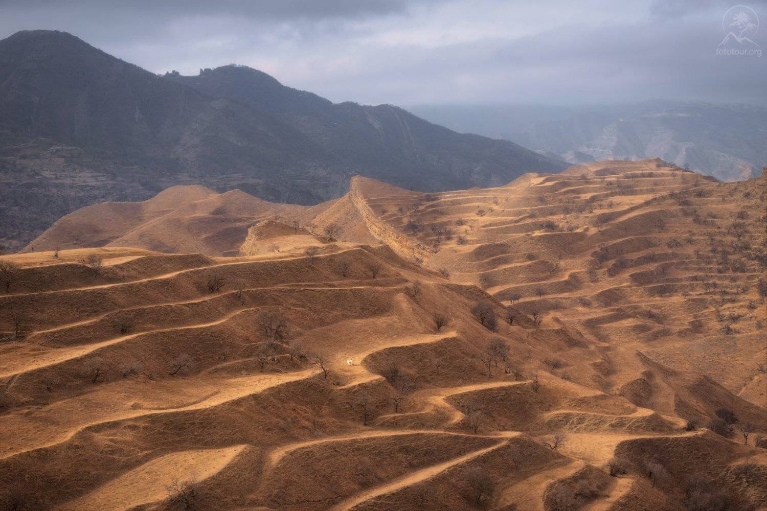 дагестан, террасы, Анатолий Гордиенко