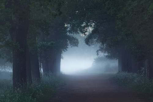 Mysterious dawn...