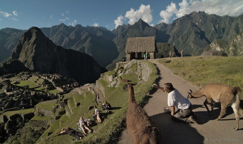 Мачу-Пикчу, Перу, путешествие, приключение, туризм, лама, горы, Анды, Америка, шагнивнеизведанное Мачу-Пикчу, из серии фото превью