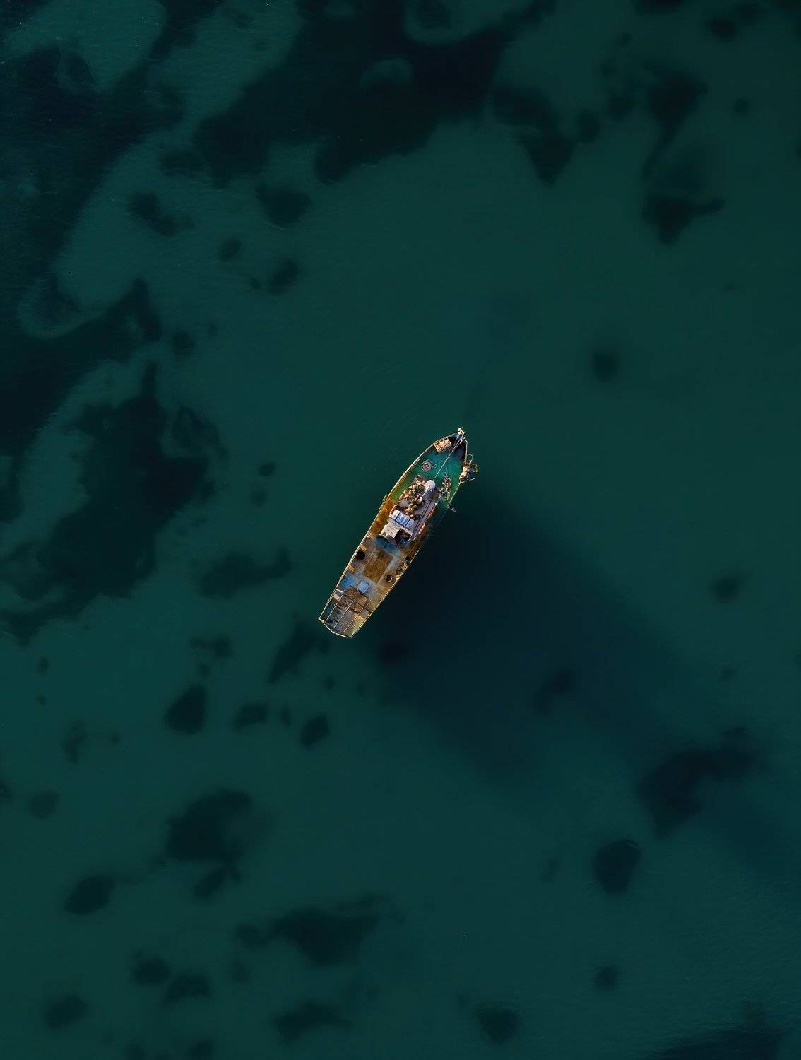 , Александр Шинкаревский