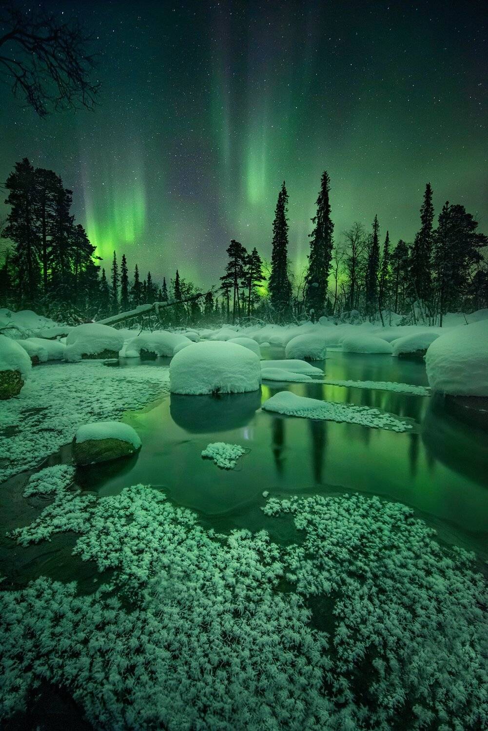 , Елена Ермолина