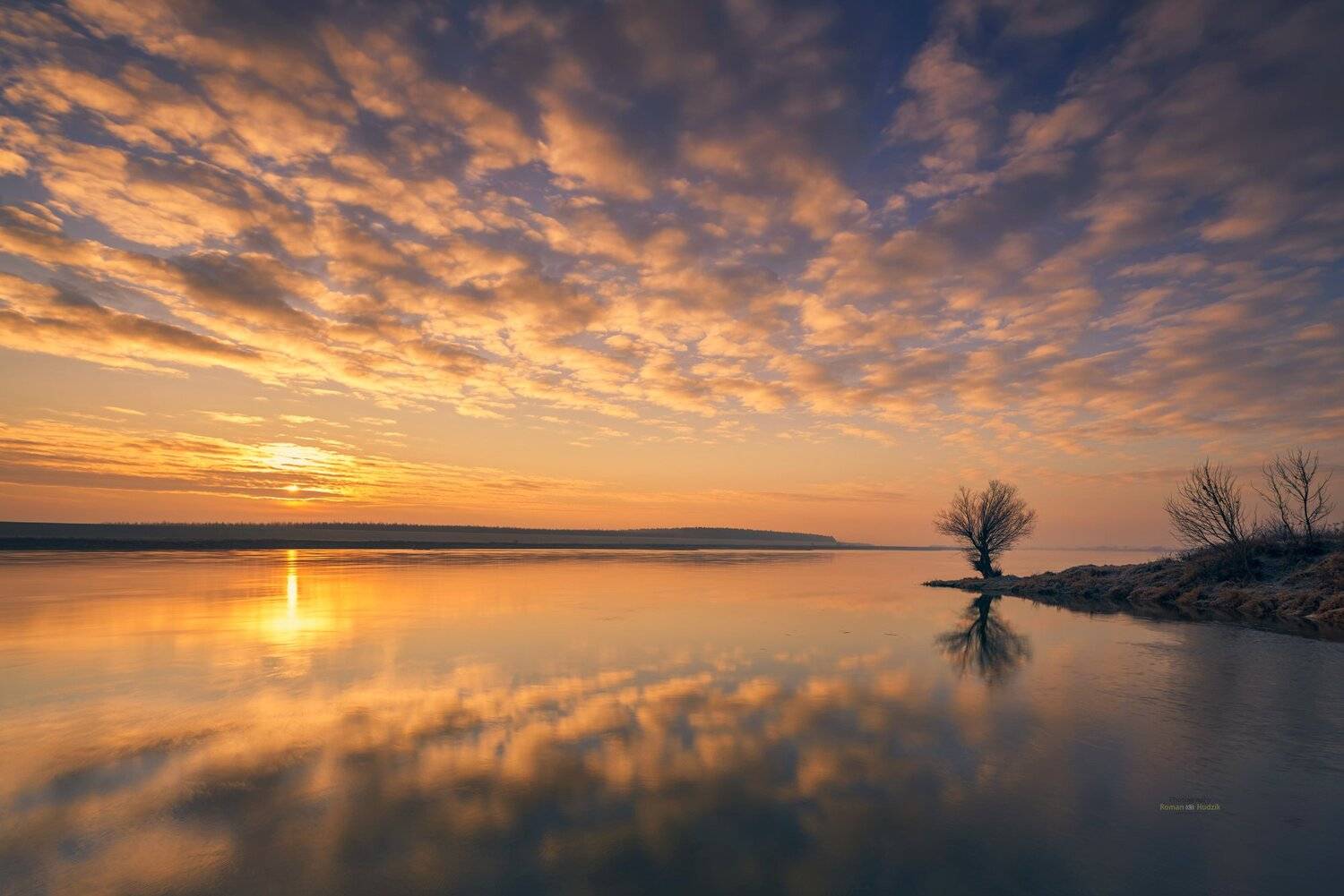 tree, sunrise, landscape, water, river, sun, clouds,, Roman Hudzik