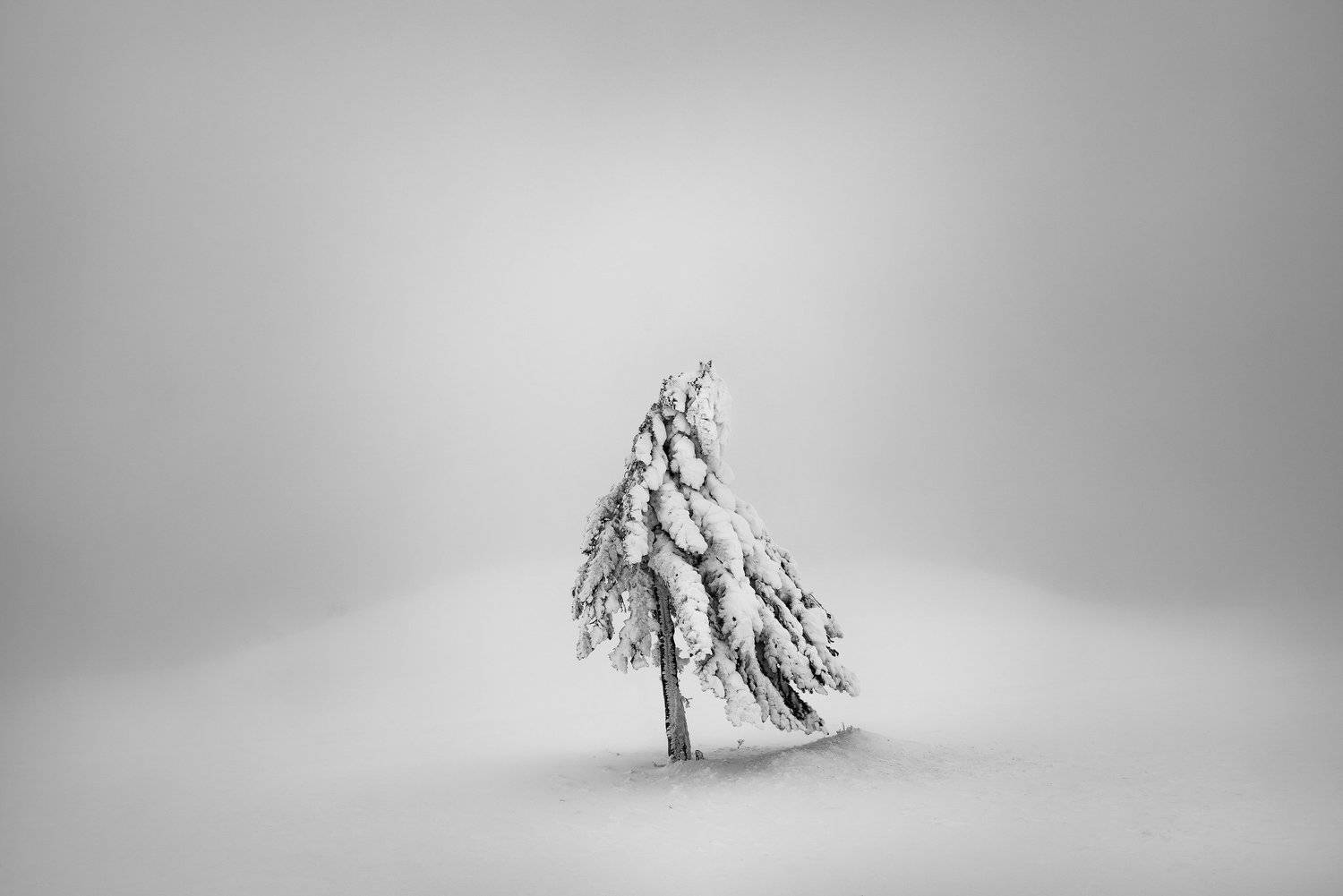 , Szabo Zsolt Andras