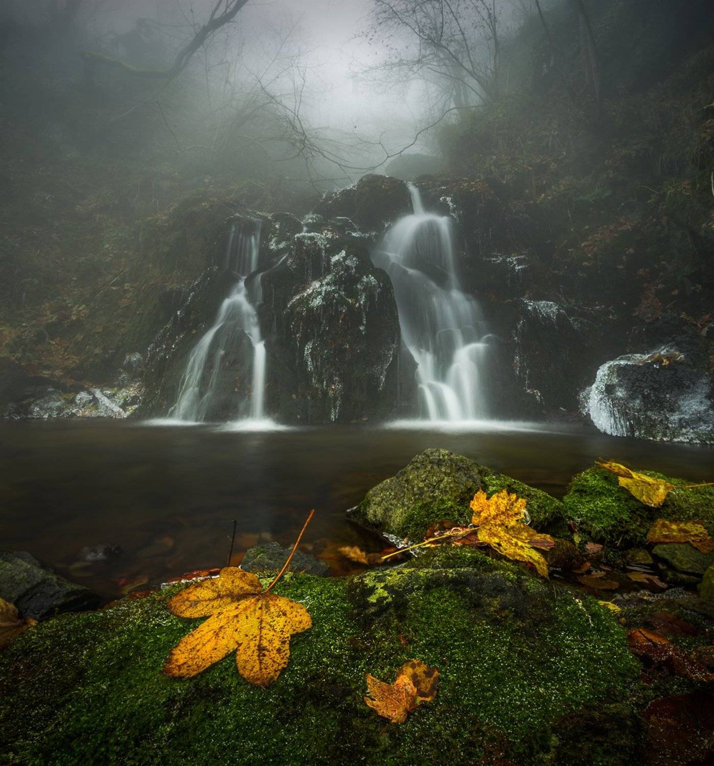 landscape, nature, scenery, forest, wood, autumn, mist, misty, fog, foggy, colors, mountain, vitosha, bulgaria, туман, лес, Александър Александров