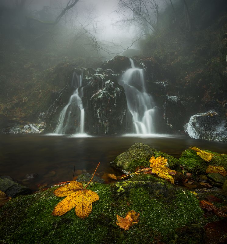 Last autumn drops