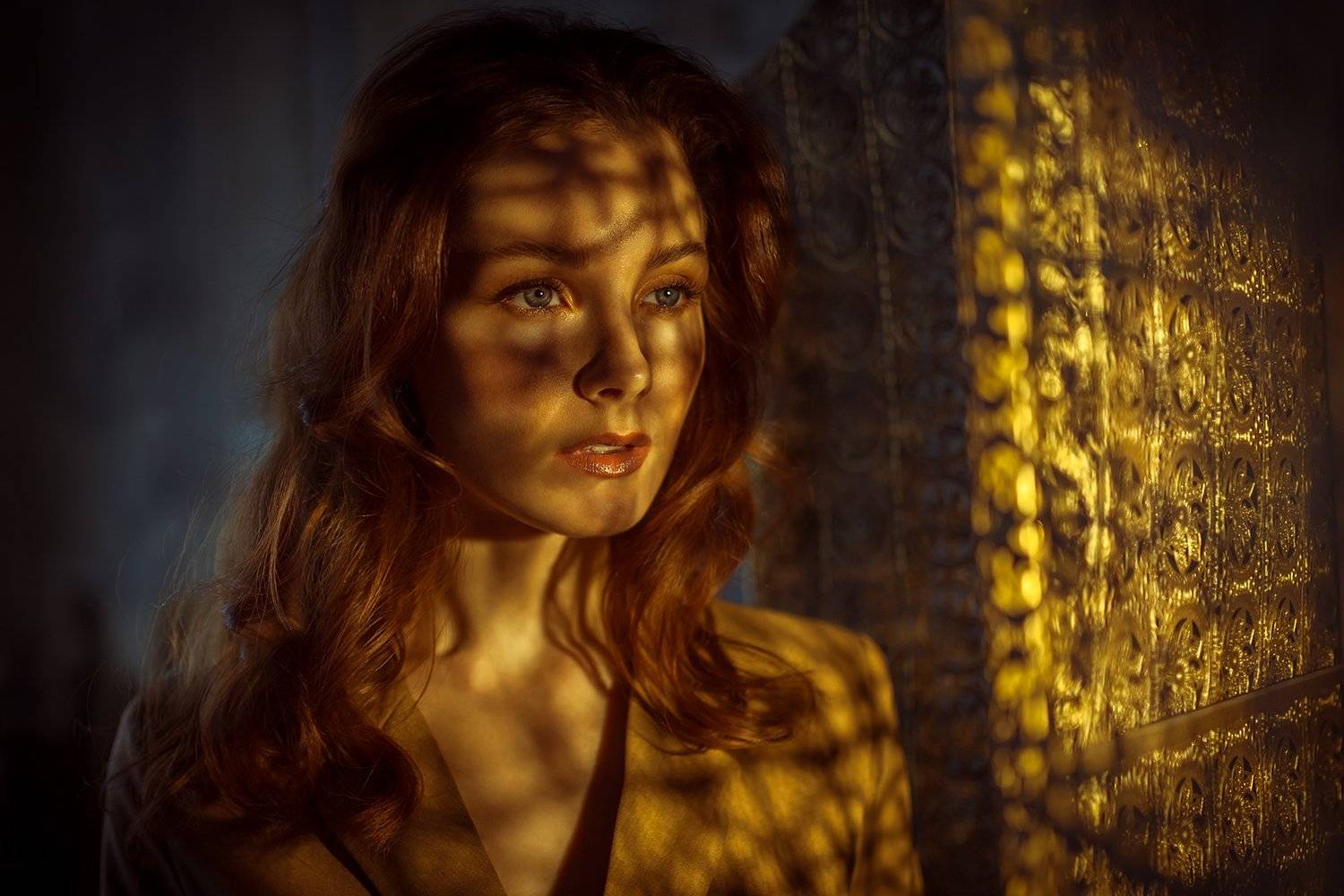 , Денис Котов