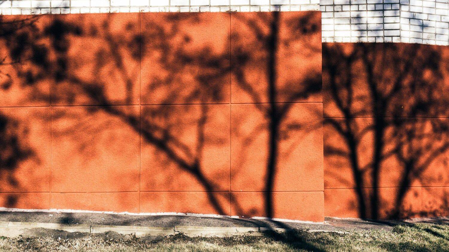 , Юрий Вертиков