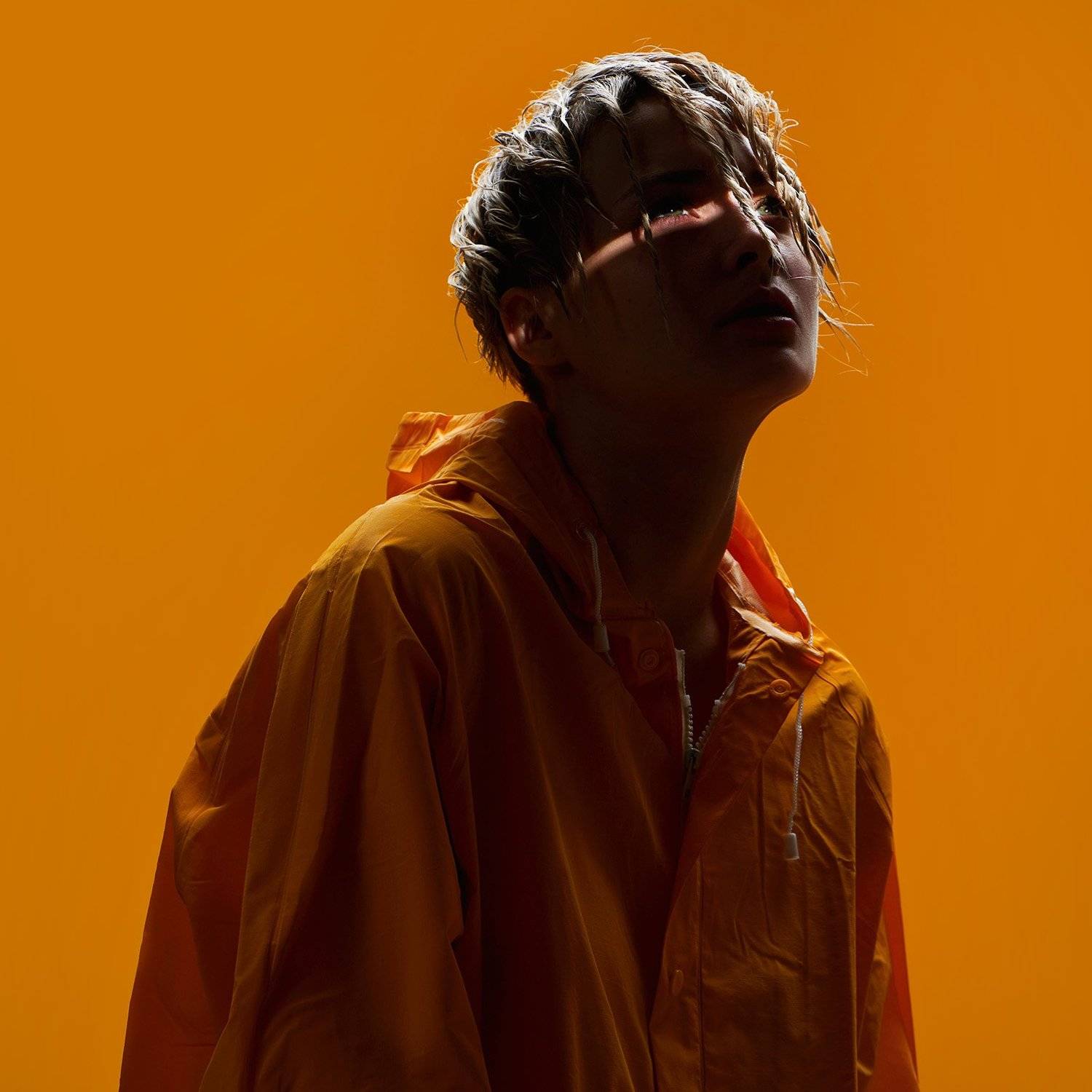 , Денис Богомолов