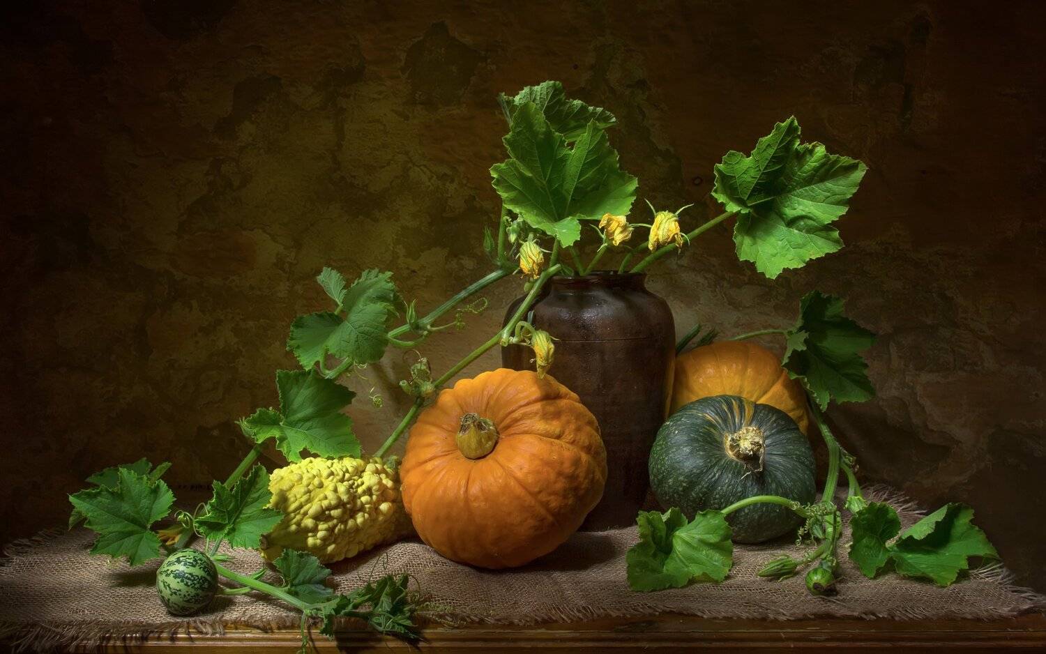 натюрморт, тыква, тыквы, Татьяна Феденкова