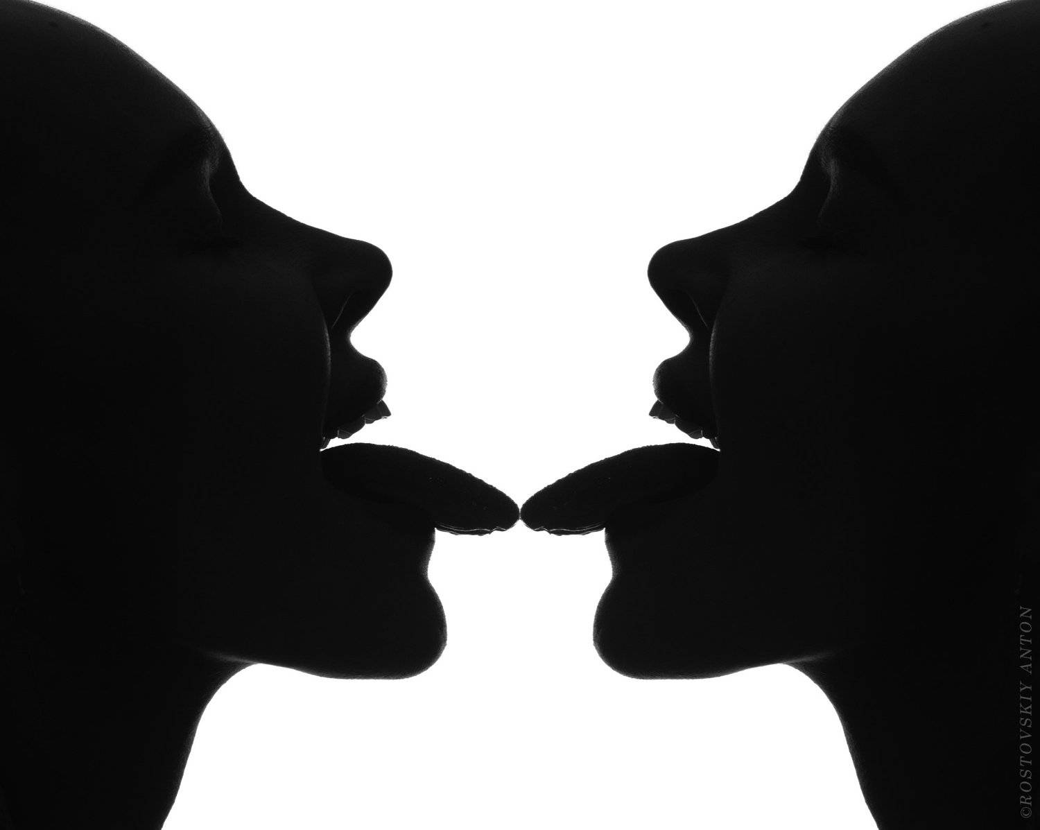 , Антон Ростовский