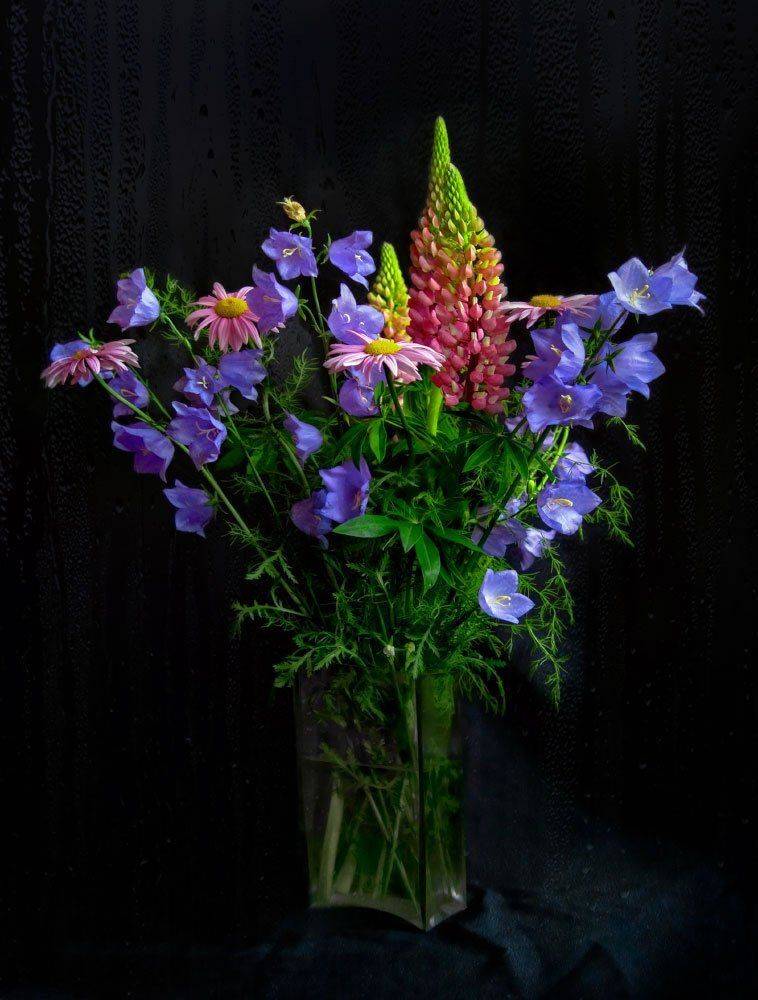 цветы,букет, лето,натюрморт,капли,дождь, Елена Брежицкая