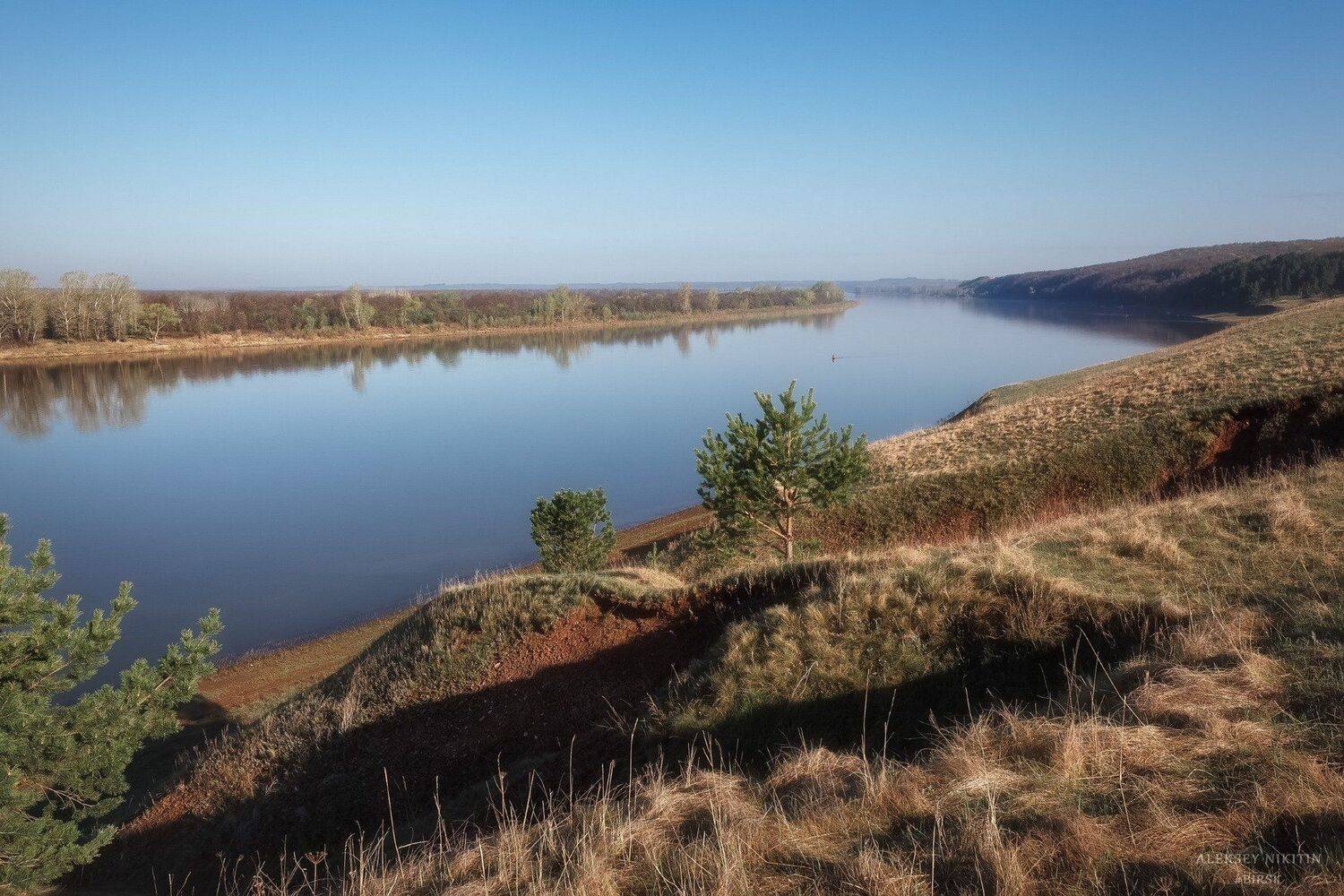 , Алексей Никитин