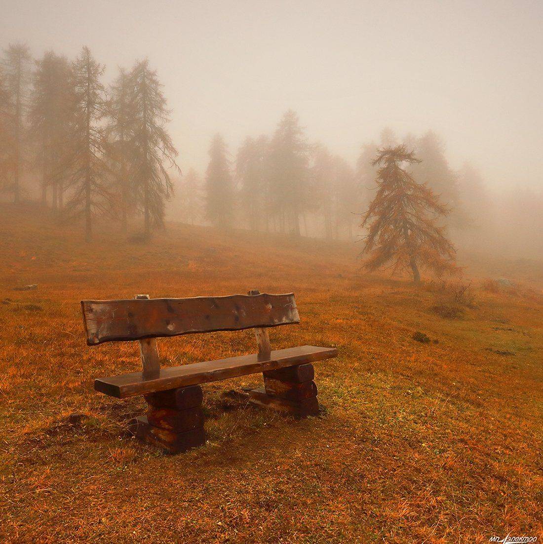 swiss, Матвеев Николай