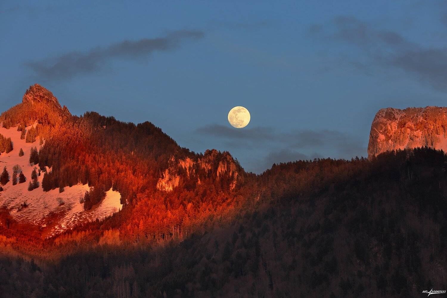 swiss, Матвеев Николай